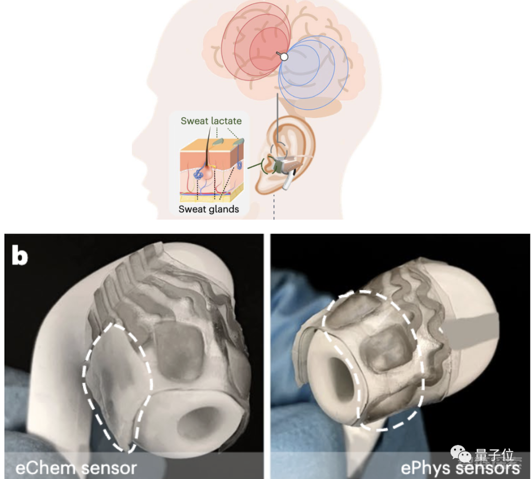 AirPods可以“读脑”了？还是能同时监测汗液乳酸浓度的那种｜Nature