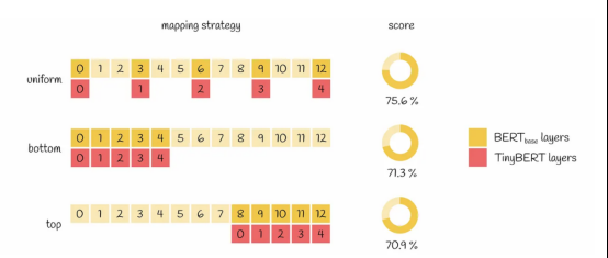 图解tinyBERT模型——BERT模型压缩精华 译文